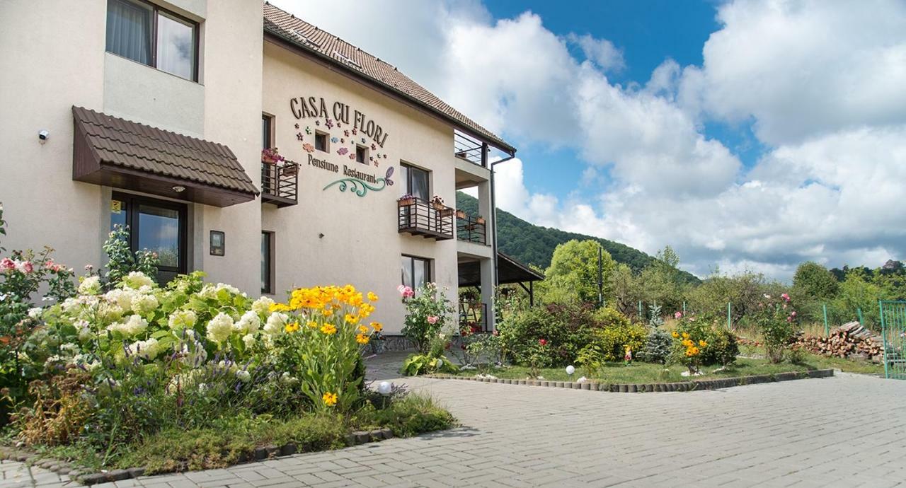 Pensiunea Casa Cu Flori Cisnadioara Exterior photo