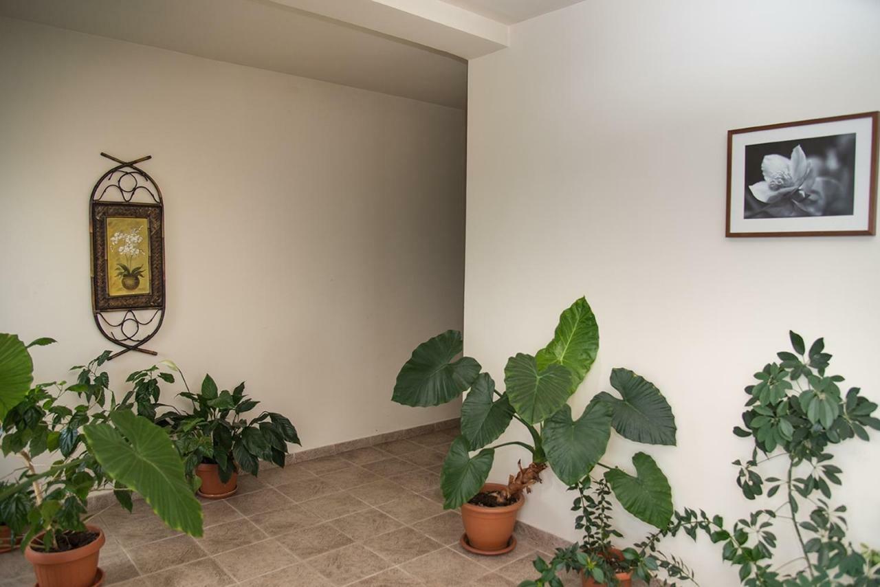 Pensiunea Casa Cu Flori Cisnadioara Exterior photo